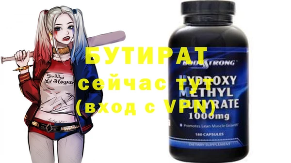 индика Дмитров