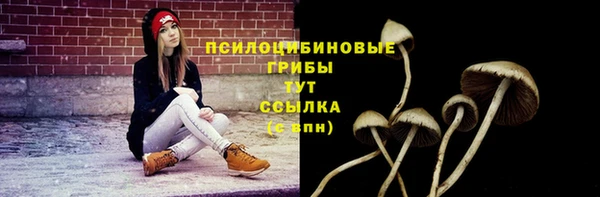 скорость Володарск